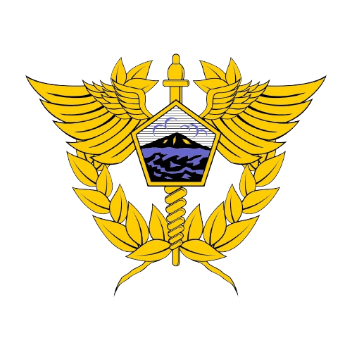 Logo Bea Cukai